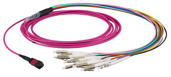 Naar omschrijving van MTPF12LCOM4-1 - MTP-F/LC 12-fibers patchkabel OM4, 1m